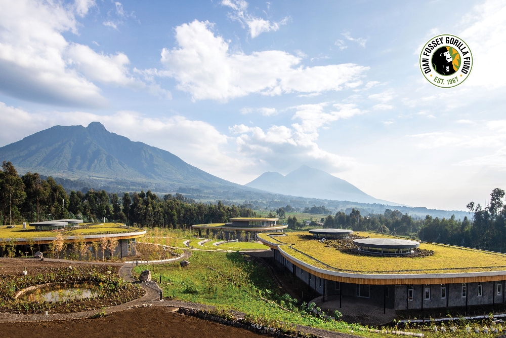 The eco-friendly facility is adjacent to the Volcanoes National Park. 