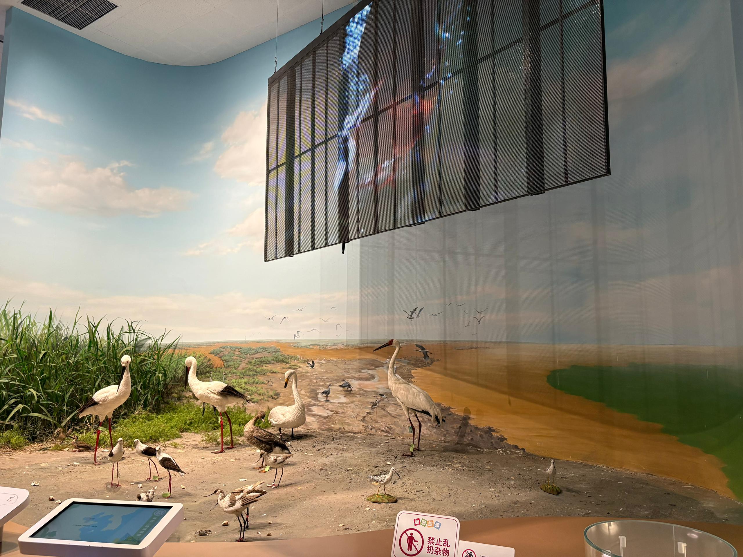 China Yellow Sea Wetland Museum.
