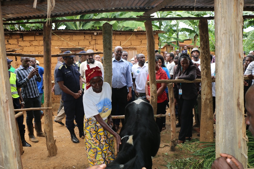 Consiriya Kabalinda after with the heifer given to her by youth volunteers. She thanked President Paul Kagame for promoting peace and security, and RNP for putting people first unlike before.