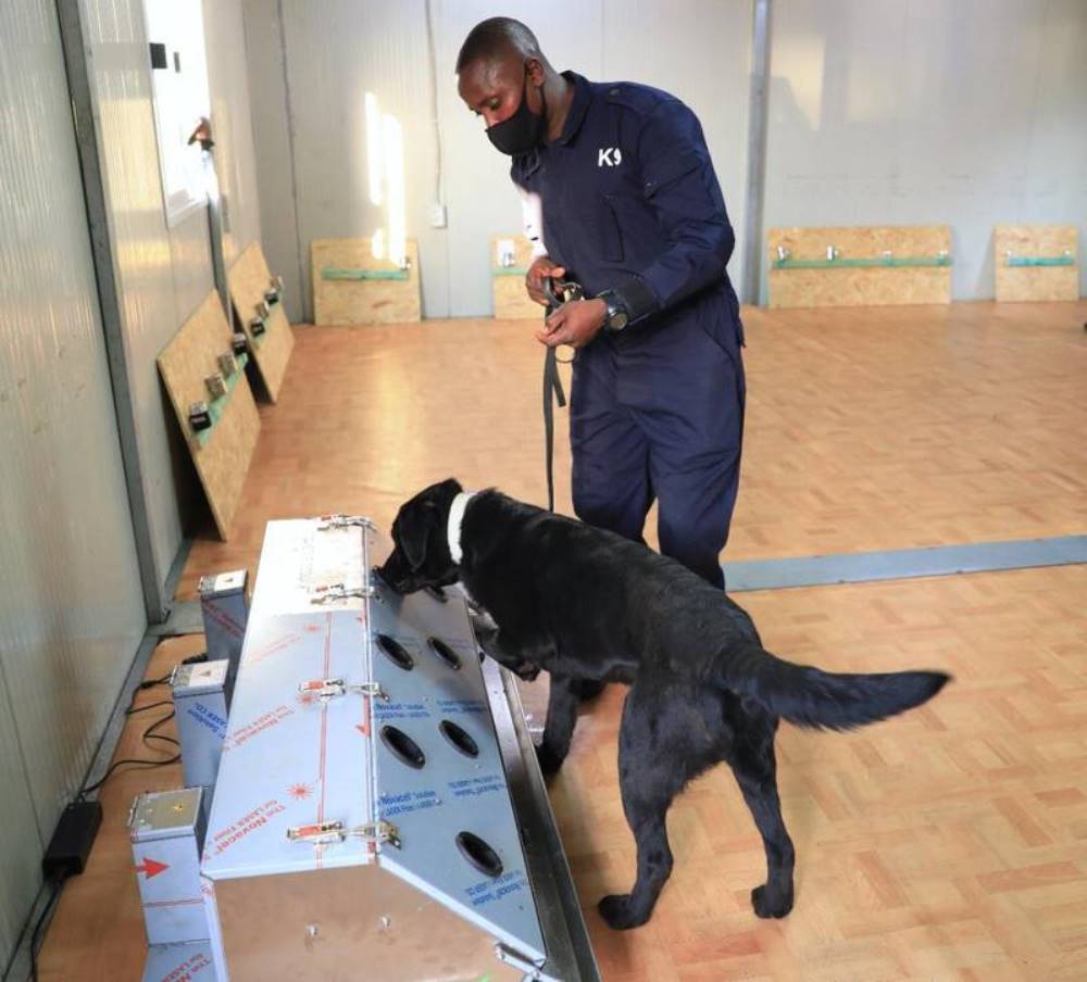 Police officers under the Canine Brigade were trained as dog handlers.