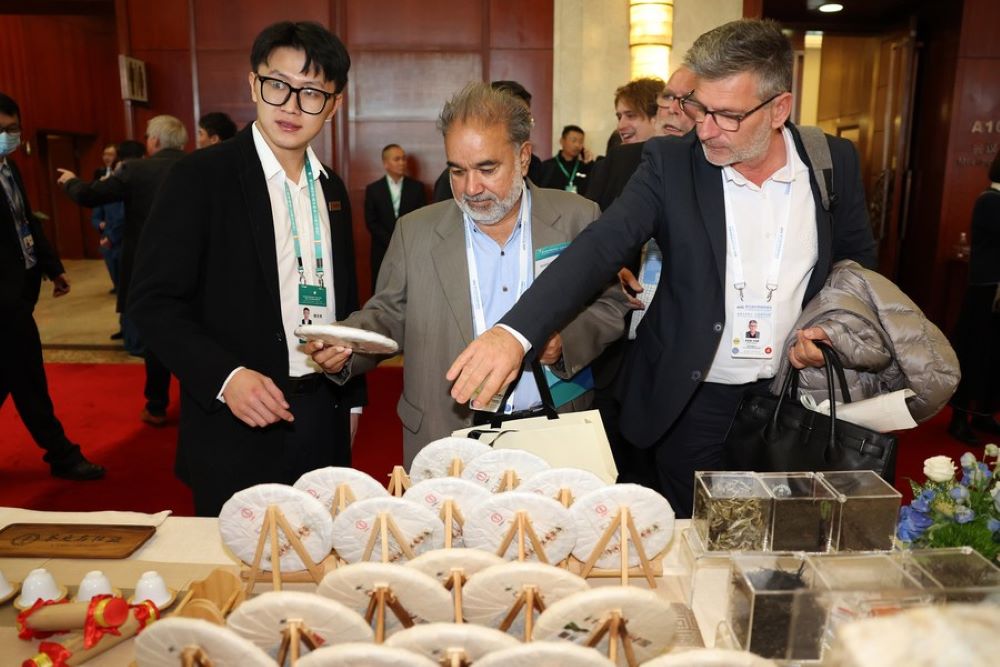 Attendees of the 5th World Media Summit (Yunnan, China) and the 2nd Yunnan International Communication Forum learn about Yunnan's Pu'er tea in Kunming, southwest China's Yunnan Province, Dec. 5, 2023. (Xinhua/Li Ming)