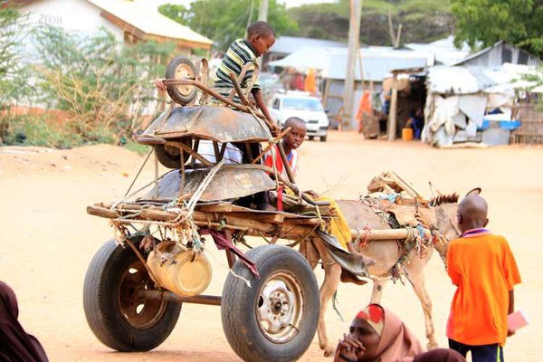 Children enjoy a donkey cart ride at the Hagadera camp inside the Dadaab refugee camp on June 15, 2016.