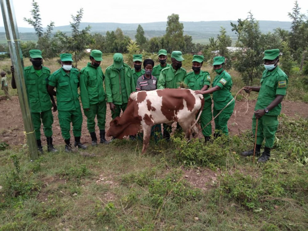DASSO members donating a cow to a vulnerable resident in Kayonza. 