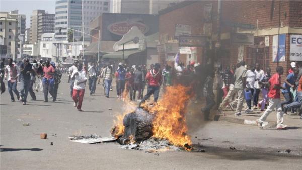 Zimbabwe has seen months of anti-government protests 
