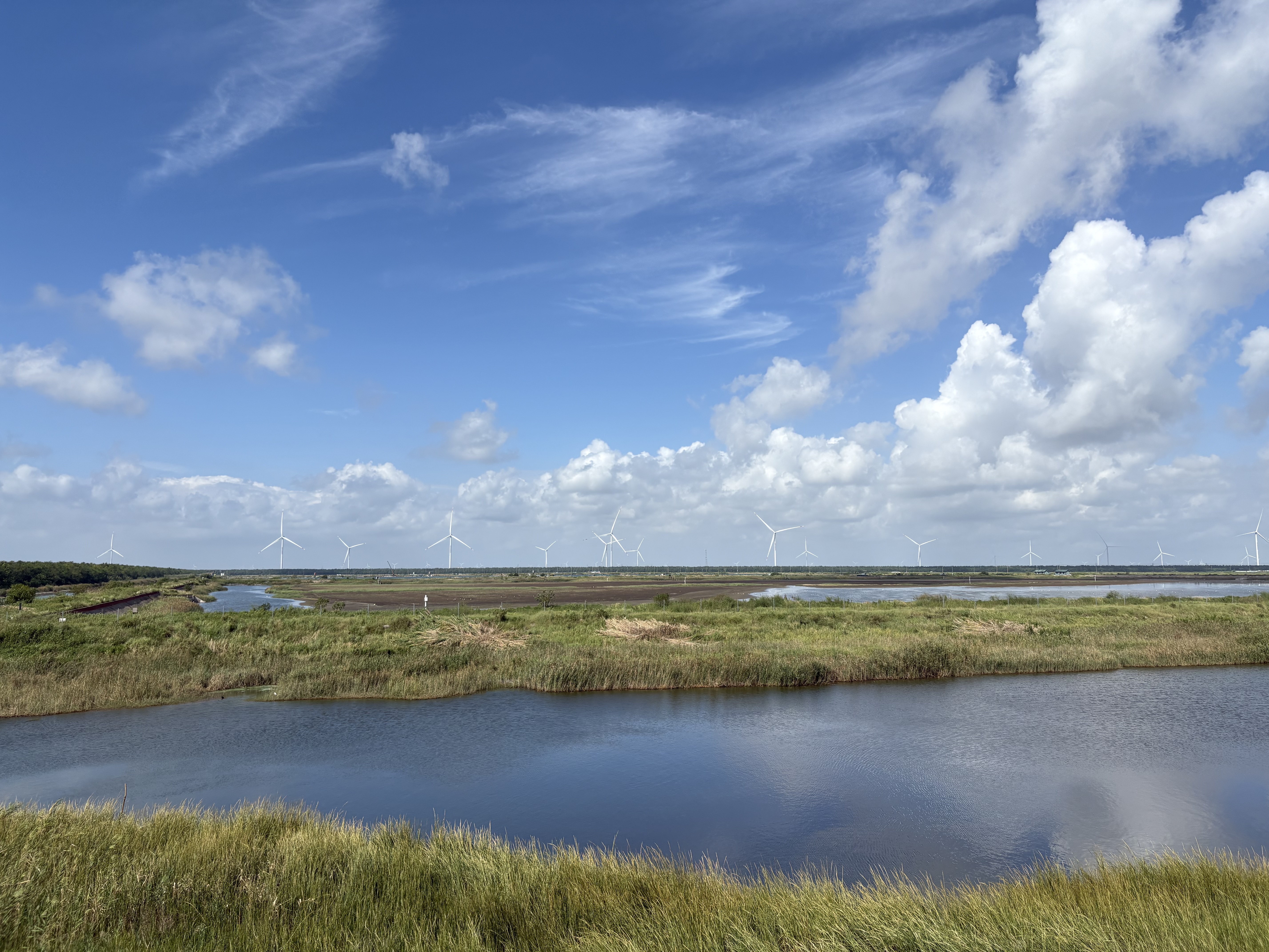 The Dongtai Tiaozini Wetland Reserve.