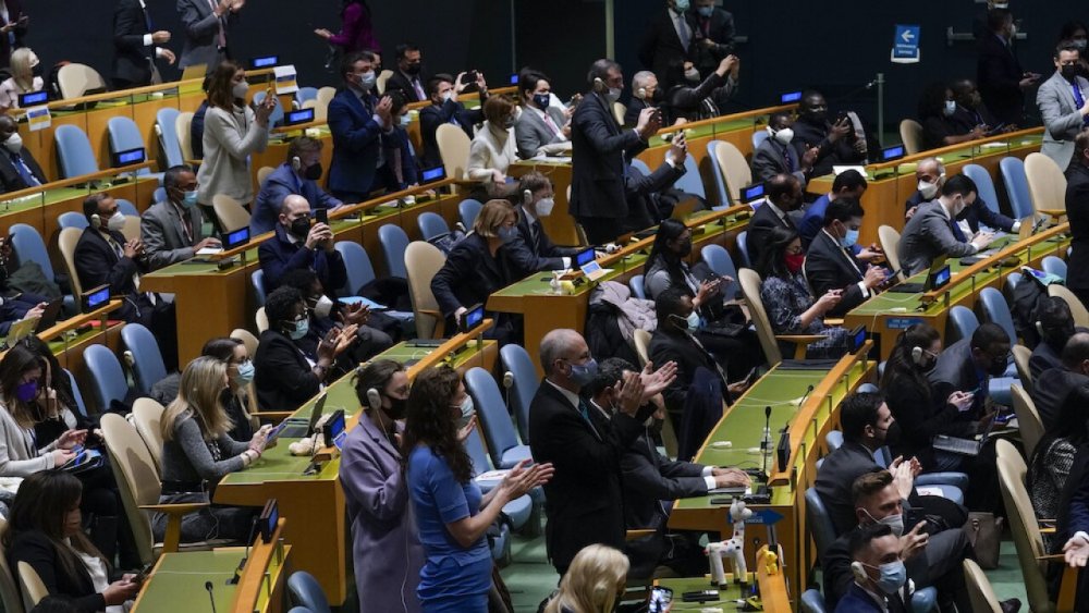 The resolution was voted by 141 of the 193 UN member states.