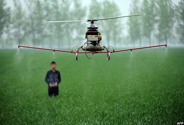 A man controlling a drone to spray pesticides on a farm in Bozhou, central China’s Anhui province