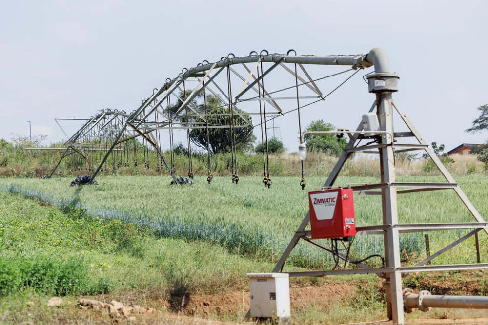Rwanda has expended substantial resources to modernize agriculture. 