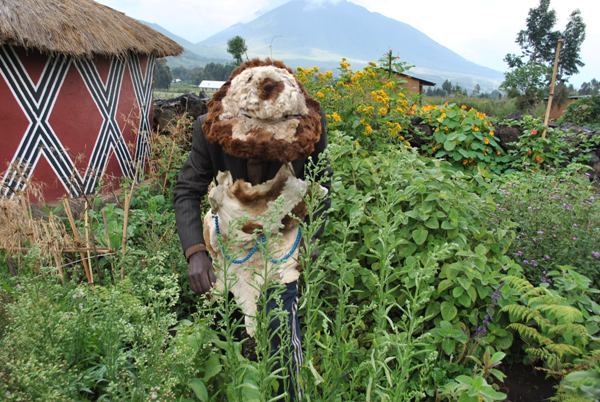 A traditional healer in the garden surrounding his exhibition house where traditional medicine are extracted.