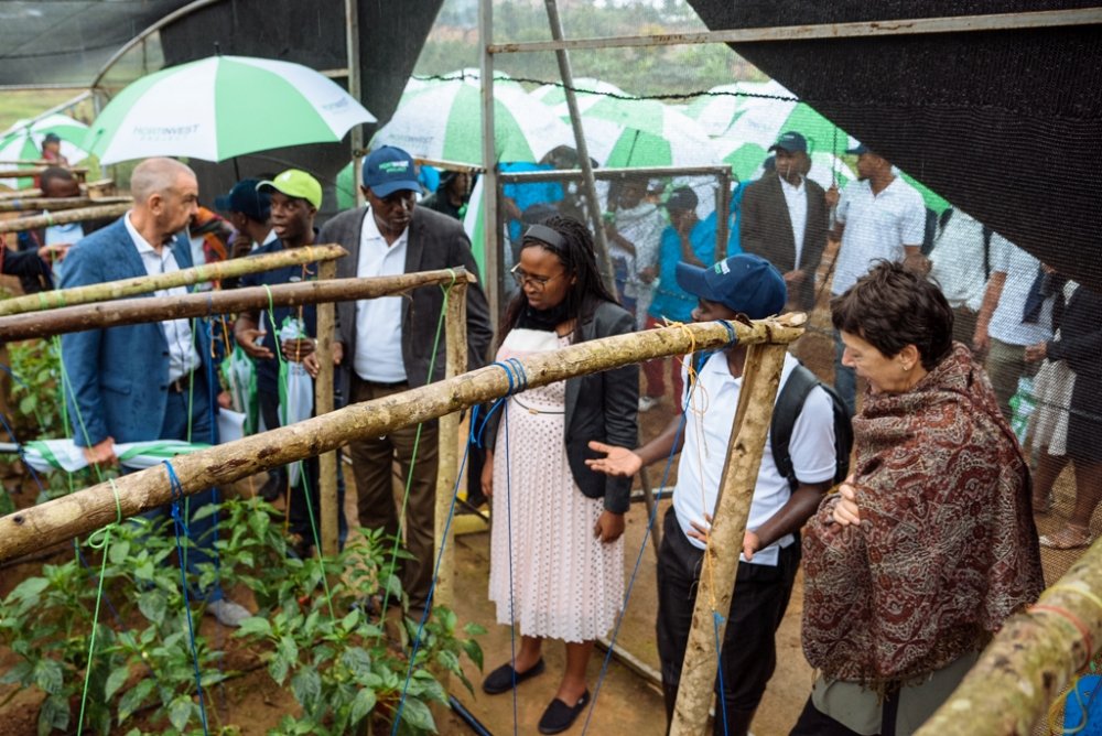 Through the project, farmers get training on advanced practices of planting fruits and vegetables