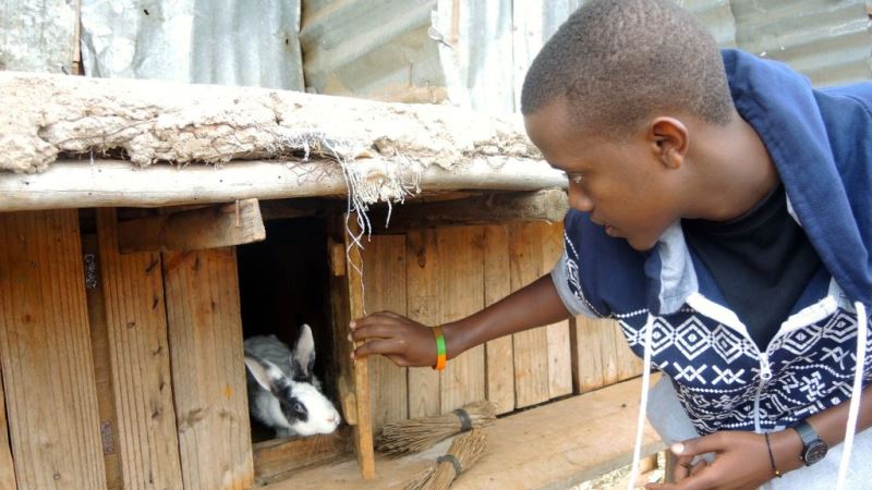Patrick Rwirahira Rugema, the Minister of Foreign Affairs at Agahozo Shalom Youth Village in Rwanda, checks on the rabbits at the school farm on February 18, 2017. (Melanie Lidman/Times of Israel)