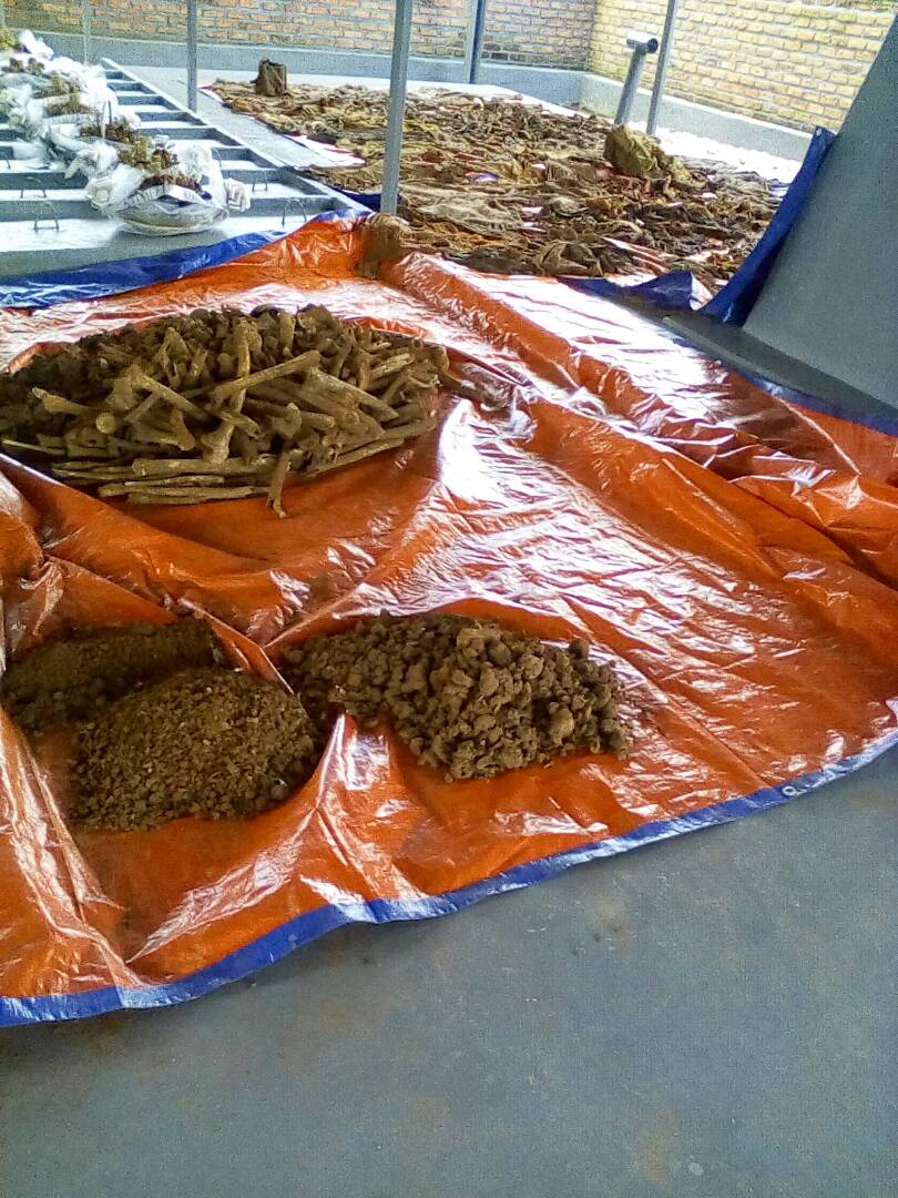 New mass graves have been found in Ndera Sector of Gasabo District where, by Saturday last week, remains of 123 remains had been exhumed.
