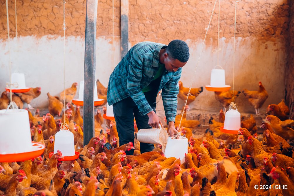 He decided to invest in poultry farming after recognizing the challenges that refugees and those living near the camp faced in obtaining eggs.