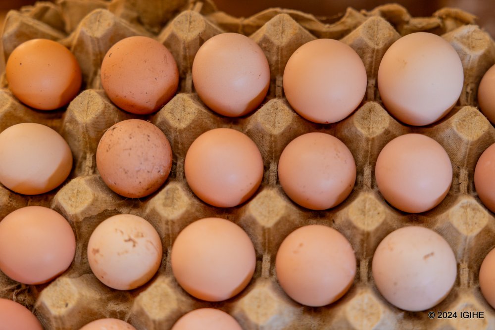 Eggs from Patrick Kanyeshuri's poultry farm.
