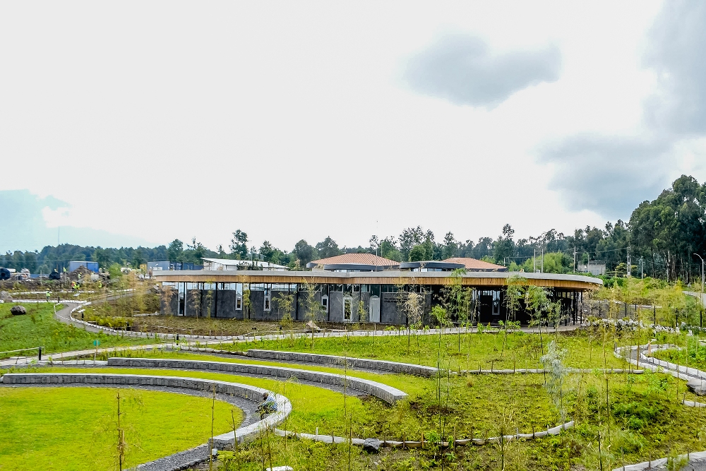 Ellen DeGeneres Campus expected to boost mountain gorilla conservation efforts. 