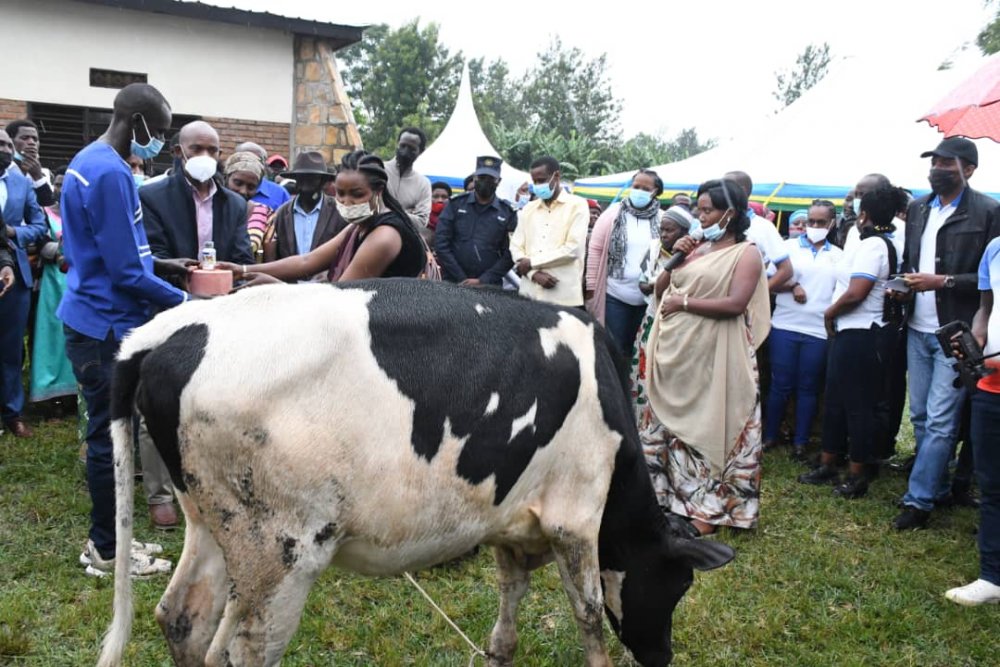 The cows are expected to help beneficiaries spur their economic growth.