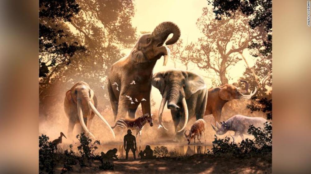 This illustration shows East Africa's Turkana Basin 4 million years ago, where our early ancestors shared their habitat with several coexisting proboscidean species.