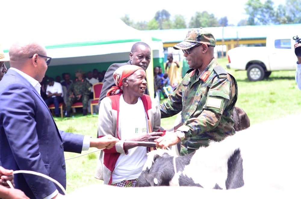 An excited old woman receiving a cow for her dedication to pyrethrum. 