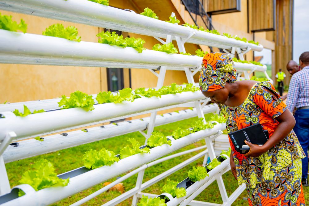 This joint initiative is designed to equip smallholder farmers with essential skills in climate-smart, appropriately scaled business-oriented mechanization and conservation agriculture practices.