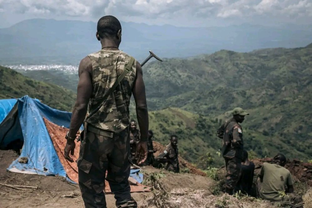 The DRC army is accused of having launched a comprehensive offensive across all AFC/M23 front lines on Tuesday at 3:00 a.m., targeting densely populated areas in Kibati, Bibwe, Nyabiondo, Bukombo, and surrounding localities.