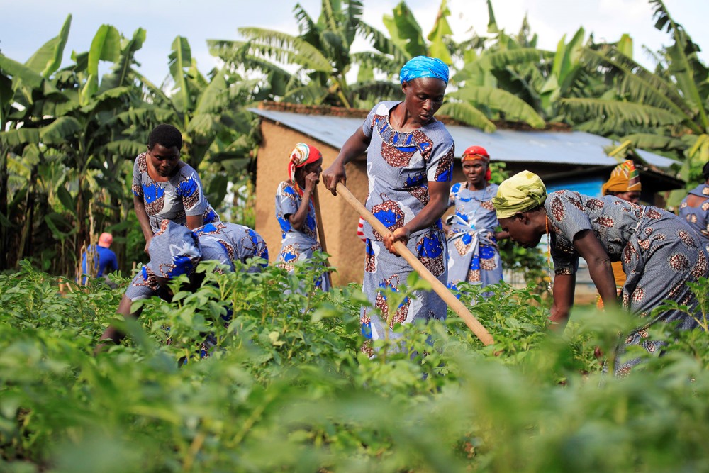 The partnership will enable women who own small agriculture-based businesses. Net Photo 