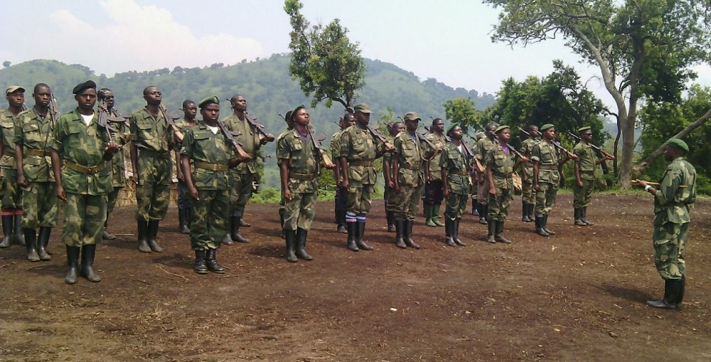 Various reports estimate the number of FDLR fighters to be between 1,500 and 3,000. Lt Col Mutimura disputed these figures, stating that the number of fighters is much higher.