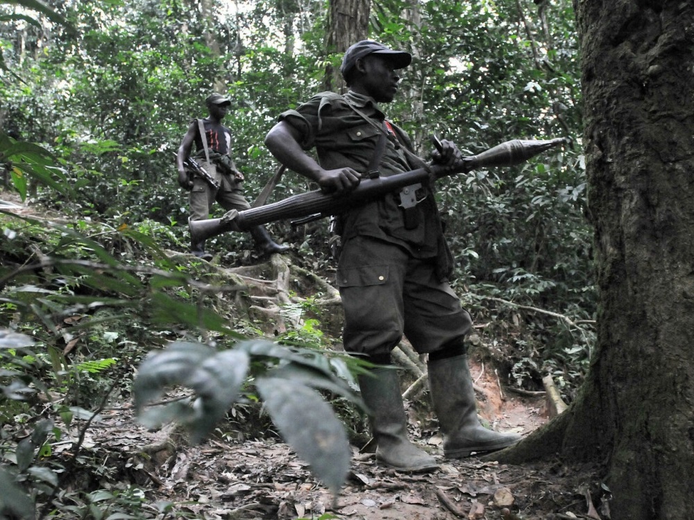 FDLR is among rebel outfits threatening security in the region. 