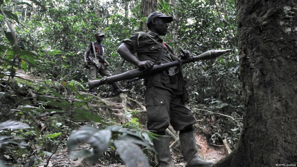FDLR has been working with FARDC to fight M23 rebel group. 