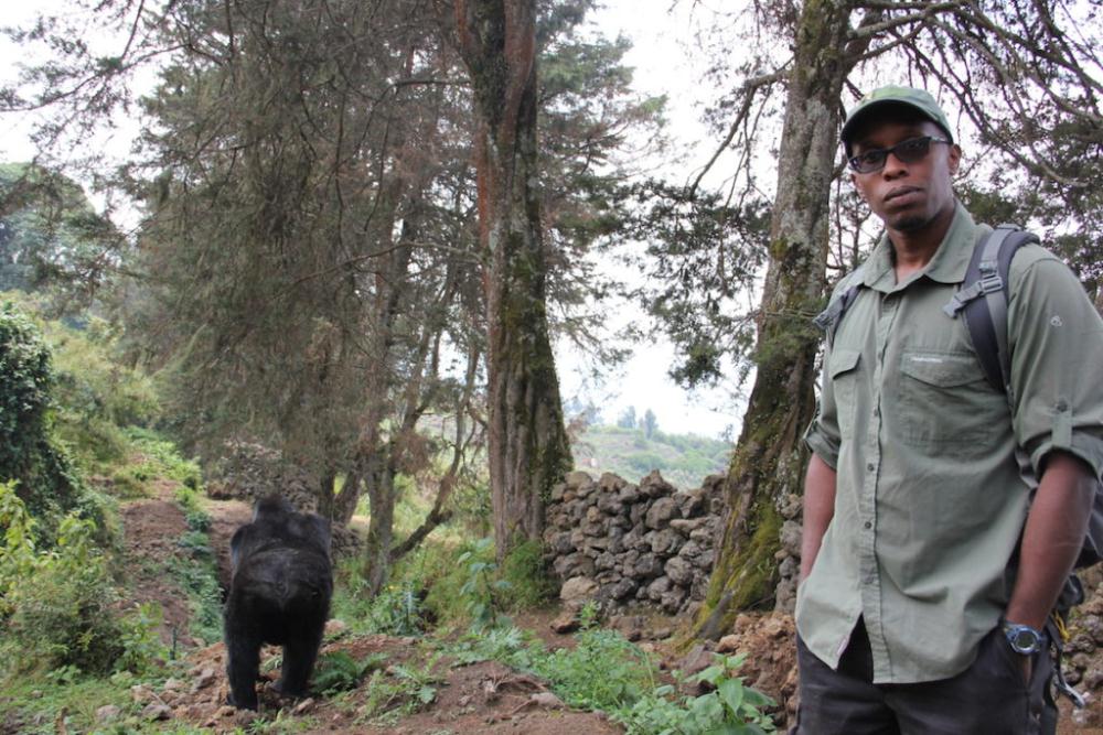 Felix Ndagijimana, the Fossey Fund’s director of Rwanda programs and Karisoke Research Center during the research