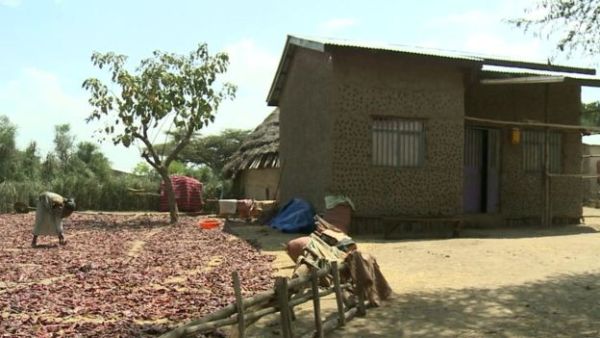 Fertility rates are also falling in rural areas