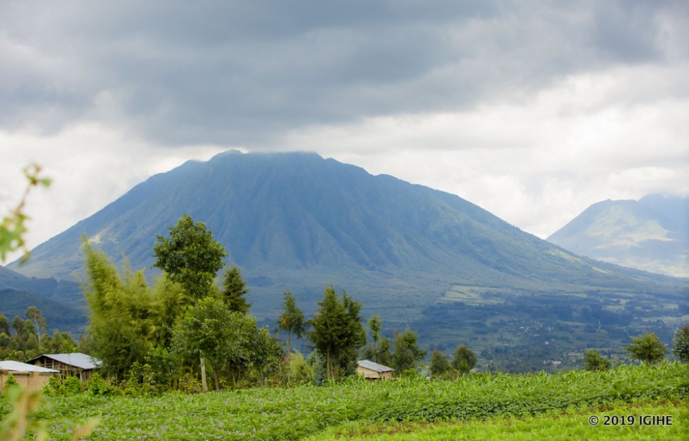The Volcano National Park, one of Rwanda’s most visited parks located in Musanze district, Northern Province 