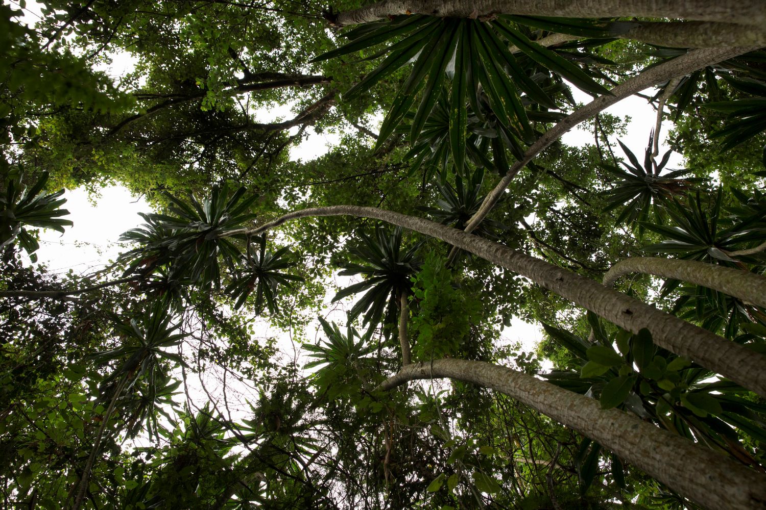 Beyond its cultural significance, Buhanga Eco Park offers a serene escape into nature.