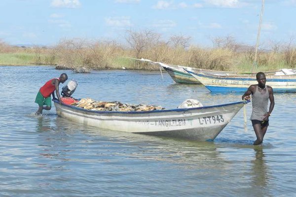 Fishermen on Lake Turkana. Human Rights Watch says the water body is on the brink of drying up due to Ethiopia's Gibe Dams project.