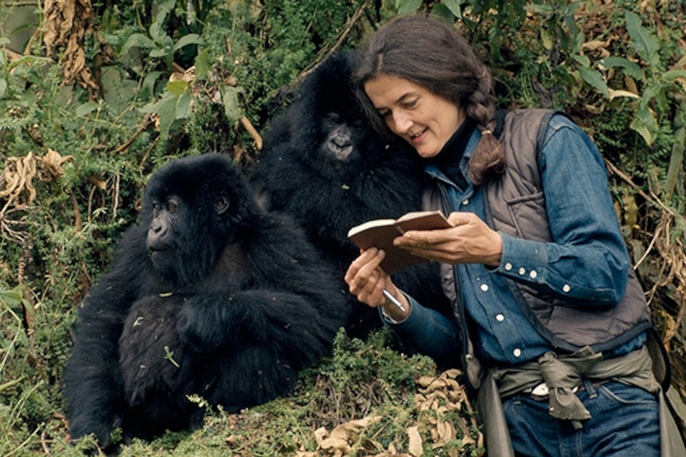 Fossey’s work extended beyond wildlife conservation to supporting local communities, which earned her lasting admiration.