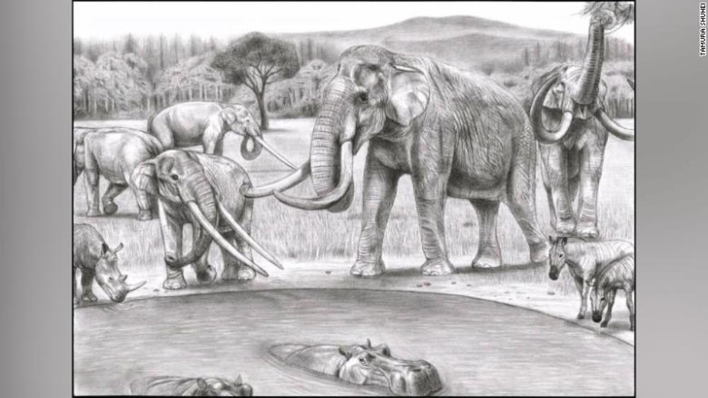 This illustration depicts northern Italy 2 million years ago. The primitive southern mammoths, Mammuthus meridionalis (right), shared their watering hole with the mastodont-grade Anancus arvernensis (left).