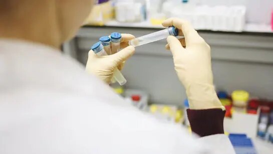 The Russian government has announced the development of a cancer vaccine, which it plans to distribute free of charge to patients. The vaccine is expected to launch in early 2025, potentially offering a new approach to cancer treatment.