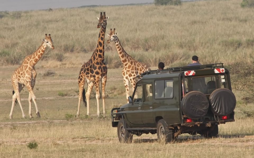 The Government of Rwanda is set to distribute Rwf 4 billion to communities living near the country’s national parks as part of a program aimed at engaging citizens in the conservation of biodiversity.