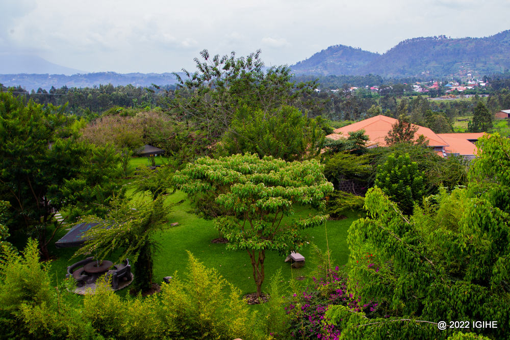 The hotel's setting gives a glimpse of what a relaxing environment should look like. 