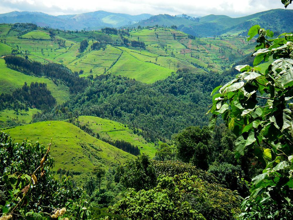 Gishwati-Mukura is Rwanda's newest National Park.