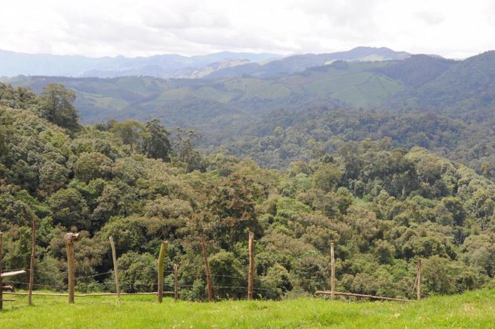 Gishwati-Mukura landscape was declared as UNESCO biosphere reserve during the UNESCO Man and the Biosphere Programme (UNESCO MAB) International Co-coordinating Council meeting in October 2020.