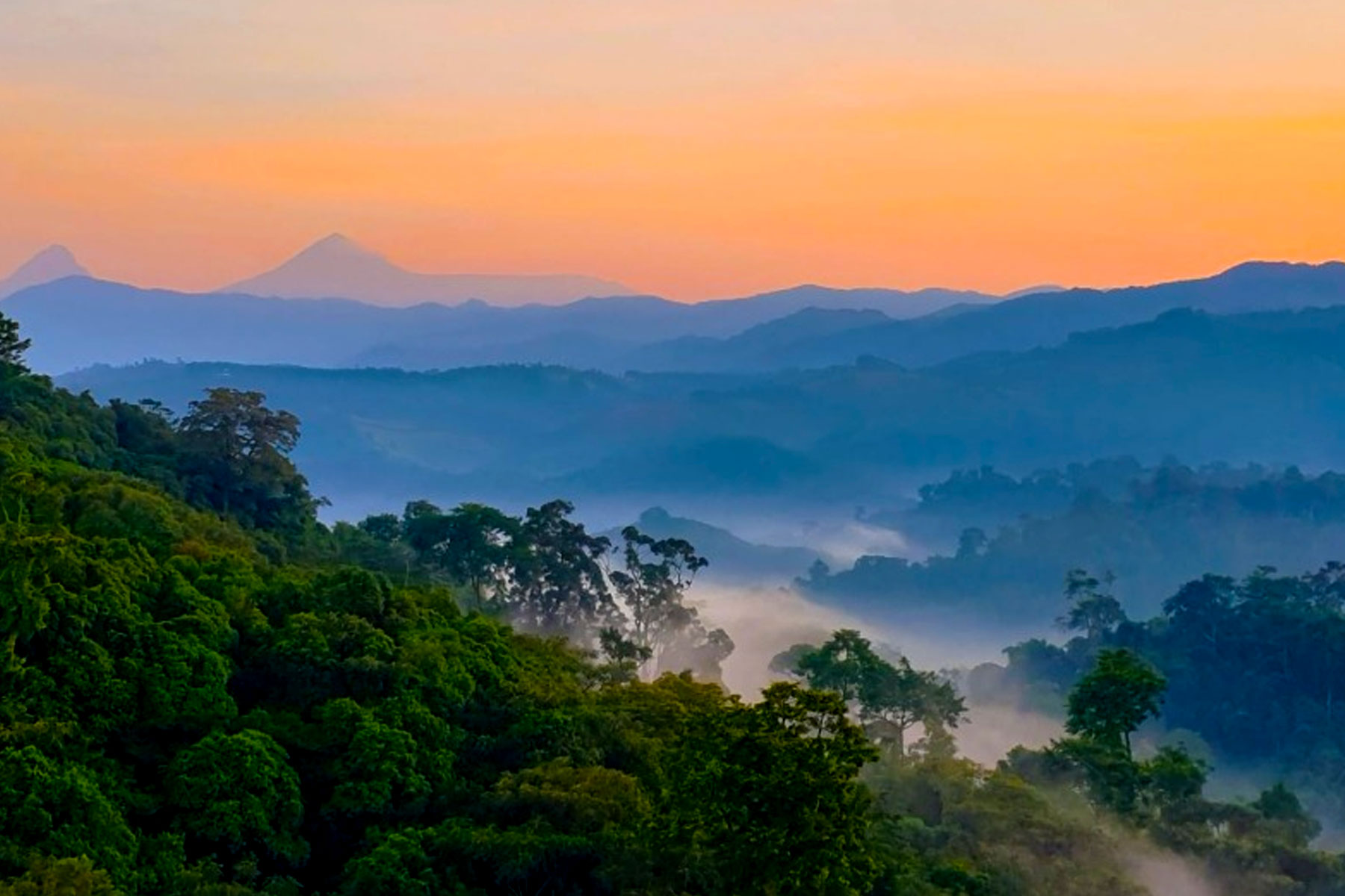 Situated in the western part of Rwanda, Gishwati-Mukura National Park is a relatively new addition to Rwanda's network of protected areas.
