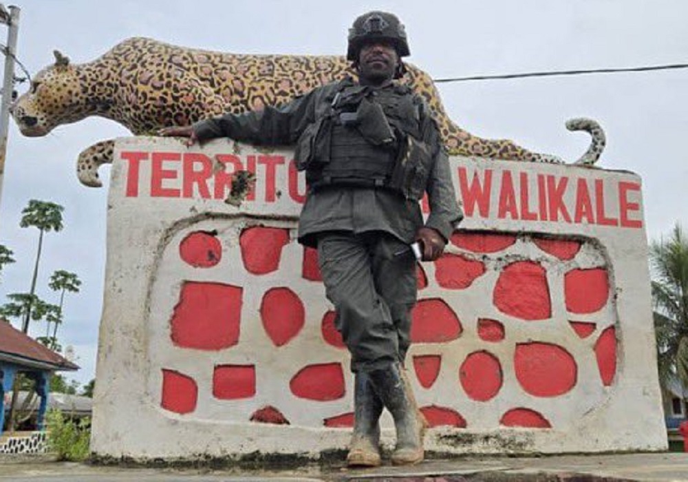 M23 fighters took control of the town of Walikale on Wednesday, March 19, 2025.