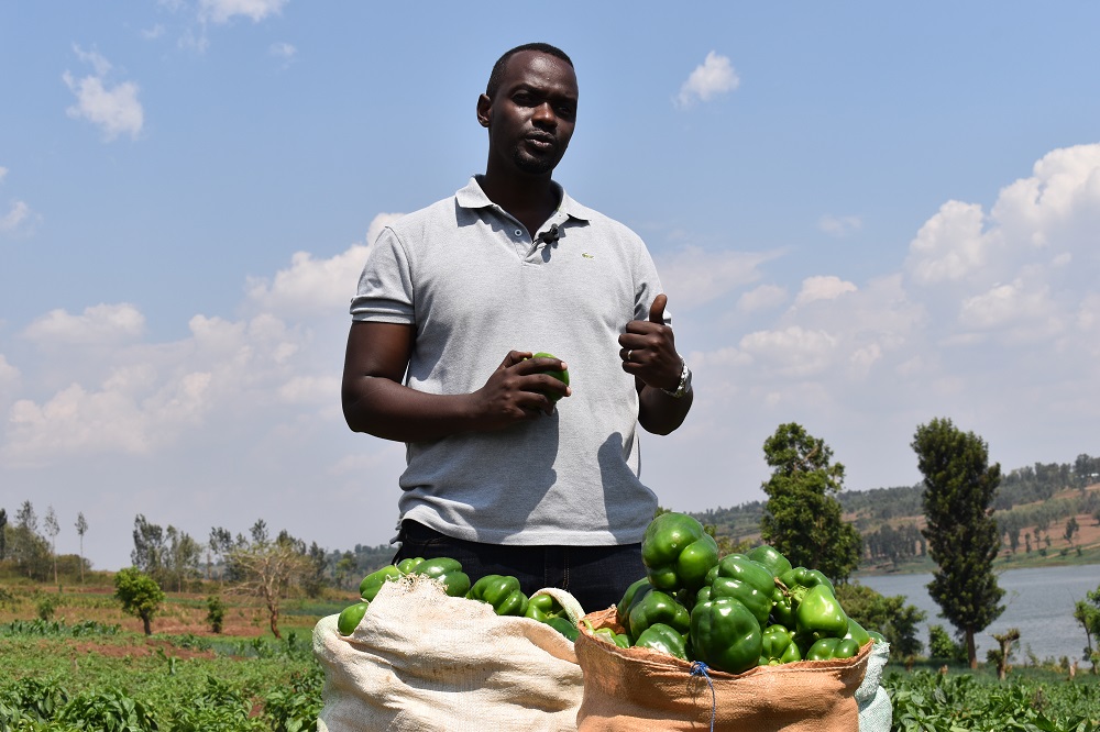 DCF Director Habimana Olivier says they have chosen to help the community in developing their agriculture