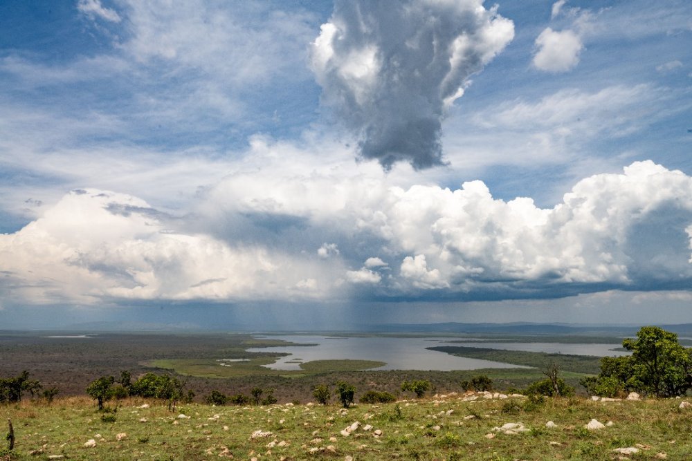 Lake Hago is admired by many who visit Akagera National Park for its breathtaking beauty.