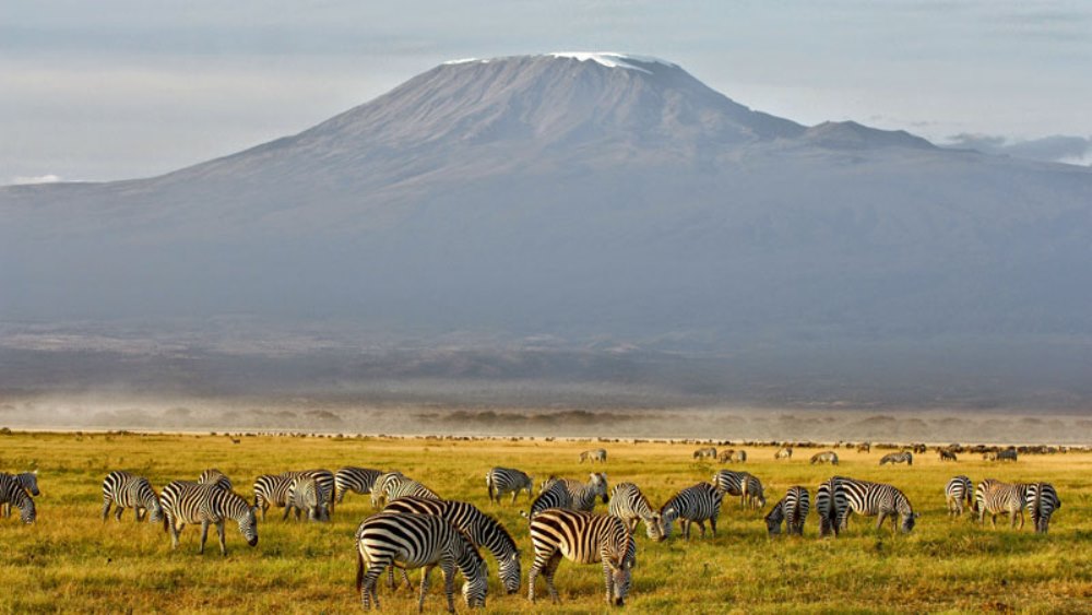 Tanzania has mobilized over 600 firefighters to put out fire on Mt Kilimanjaro. Photo by aardvarksafaris.com
