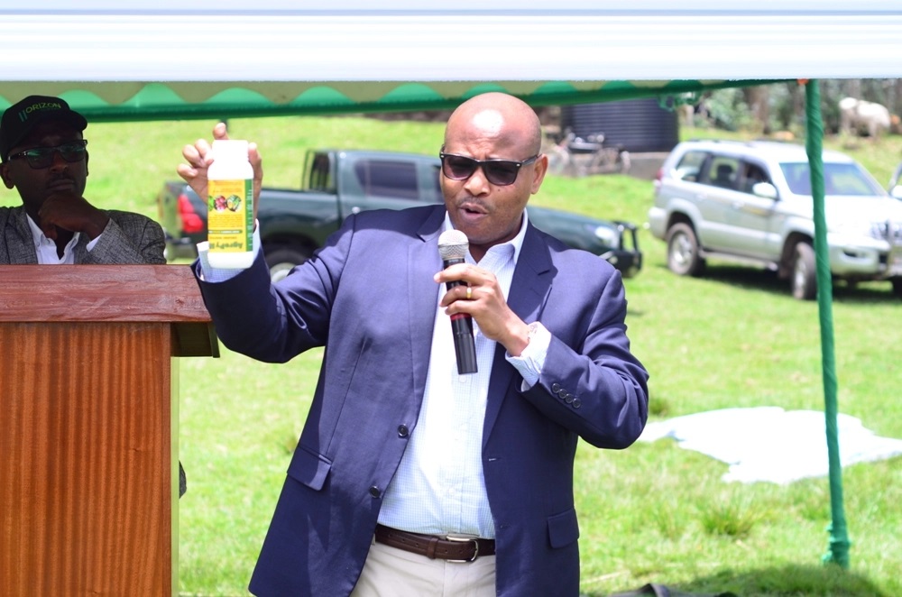 Pyrethrum is also used to produce pesticides. 