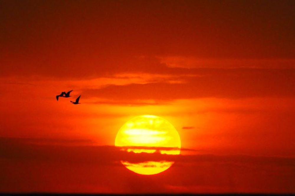 June 2025 was the world's third-warmest June on record, trailing only 2023 and 2024, said the EU-funded Copernicus Climate Change Service (C3S) on Wednesday.
