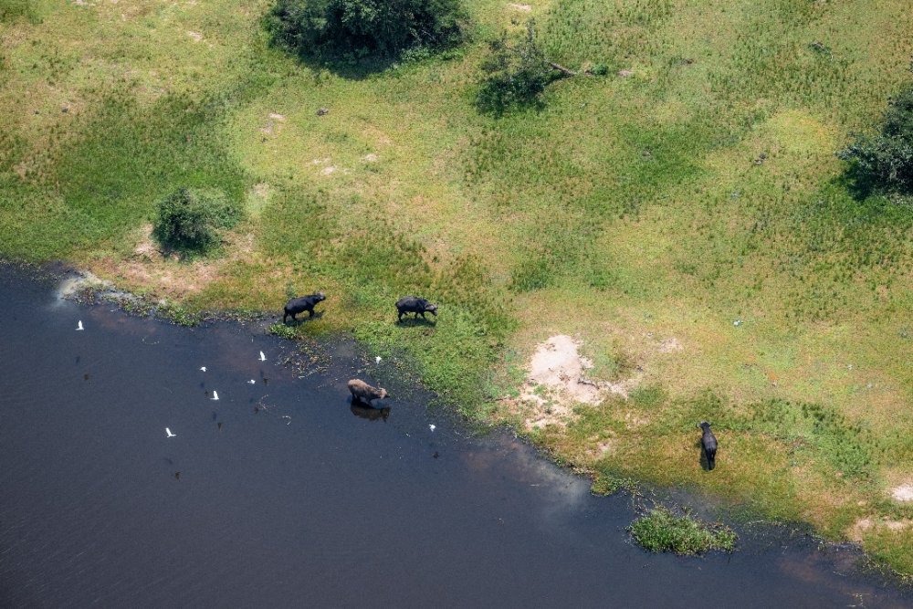 Lake Hago is one of the beautiful lakes nestled within Akagera National Park.