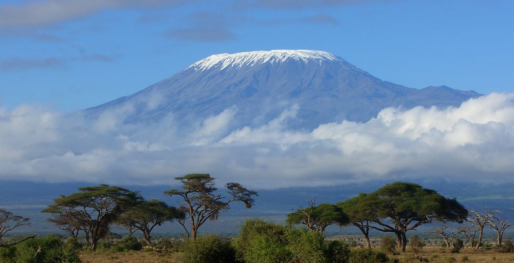Five individuals lost their lives after a helicopter crashed on Mount Kilimanjaro, Tanzania's Civil Aviation Authority confirmed on Thursday.