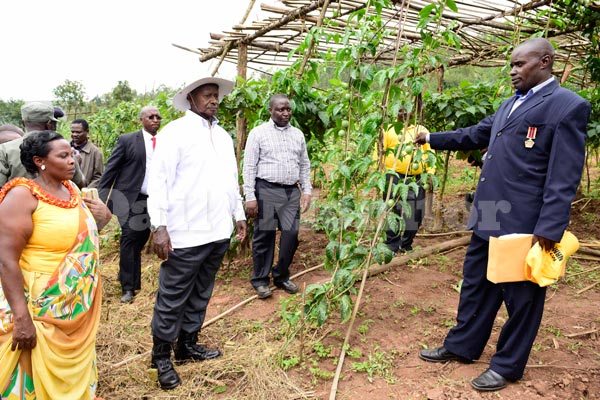 President Museveni tours Charles Rutaro’s mixed farm at Kyerero village in Bukinda County, Kabale District last Saturday.